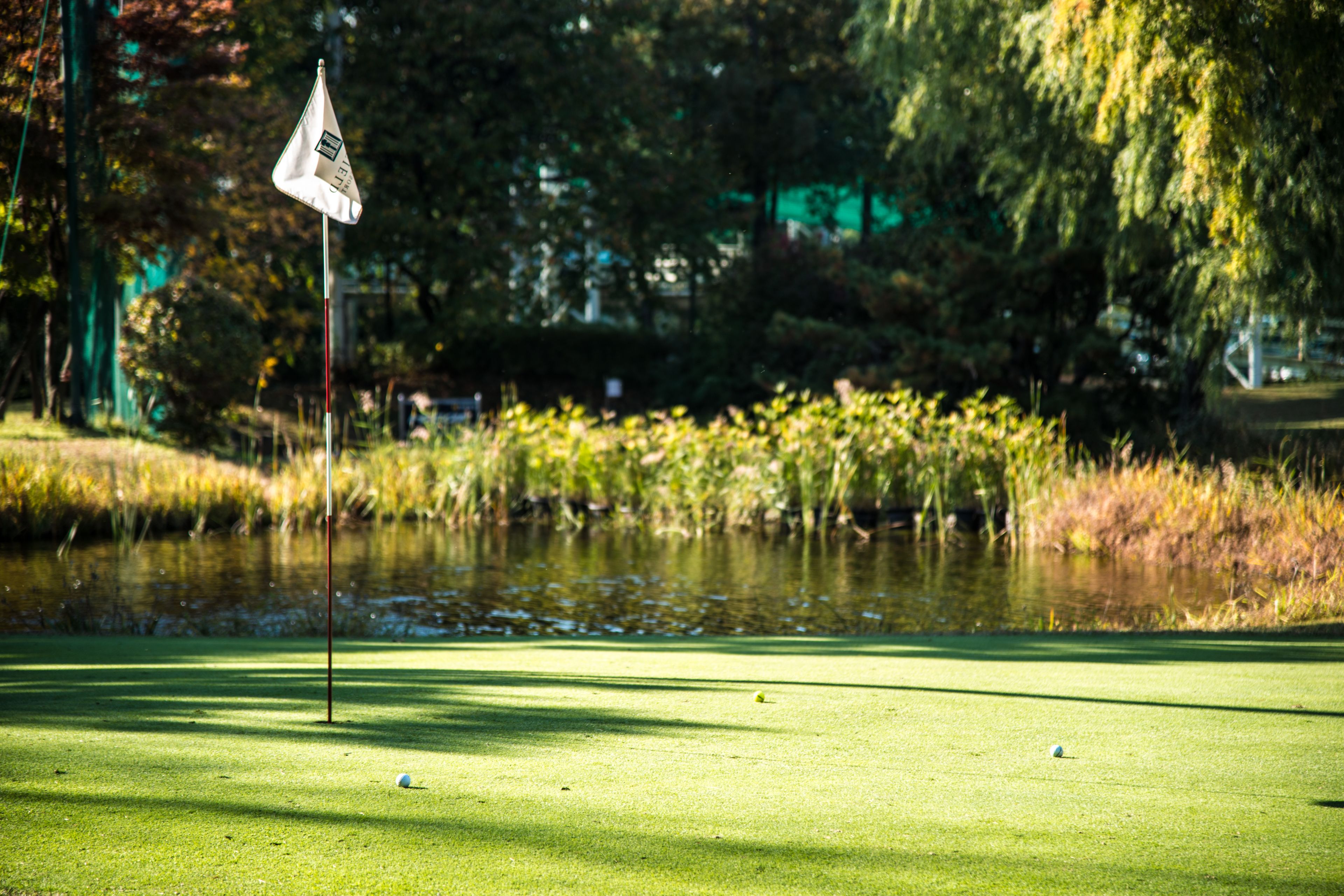 A golf course with a flagstick, a pond, and surrounding vegetation.