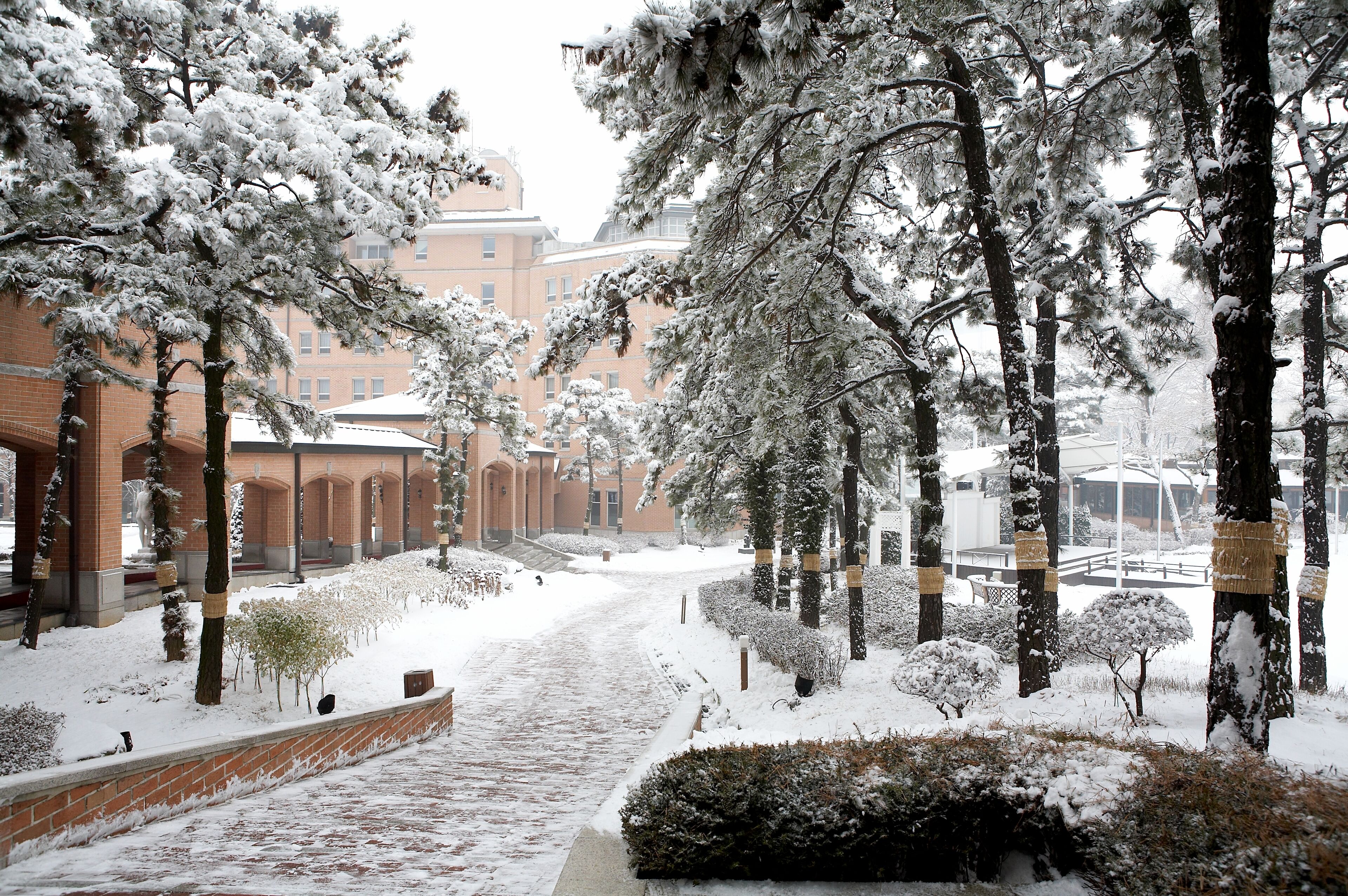 Un sendero cubierto de nieve que conduce a un edificio con ventanas arqueadas y fachada de ladrillo.