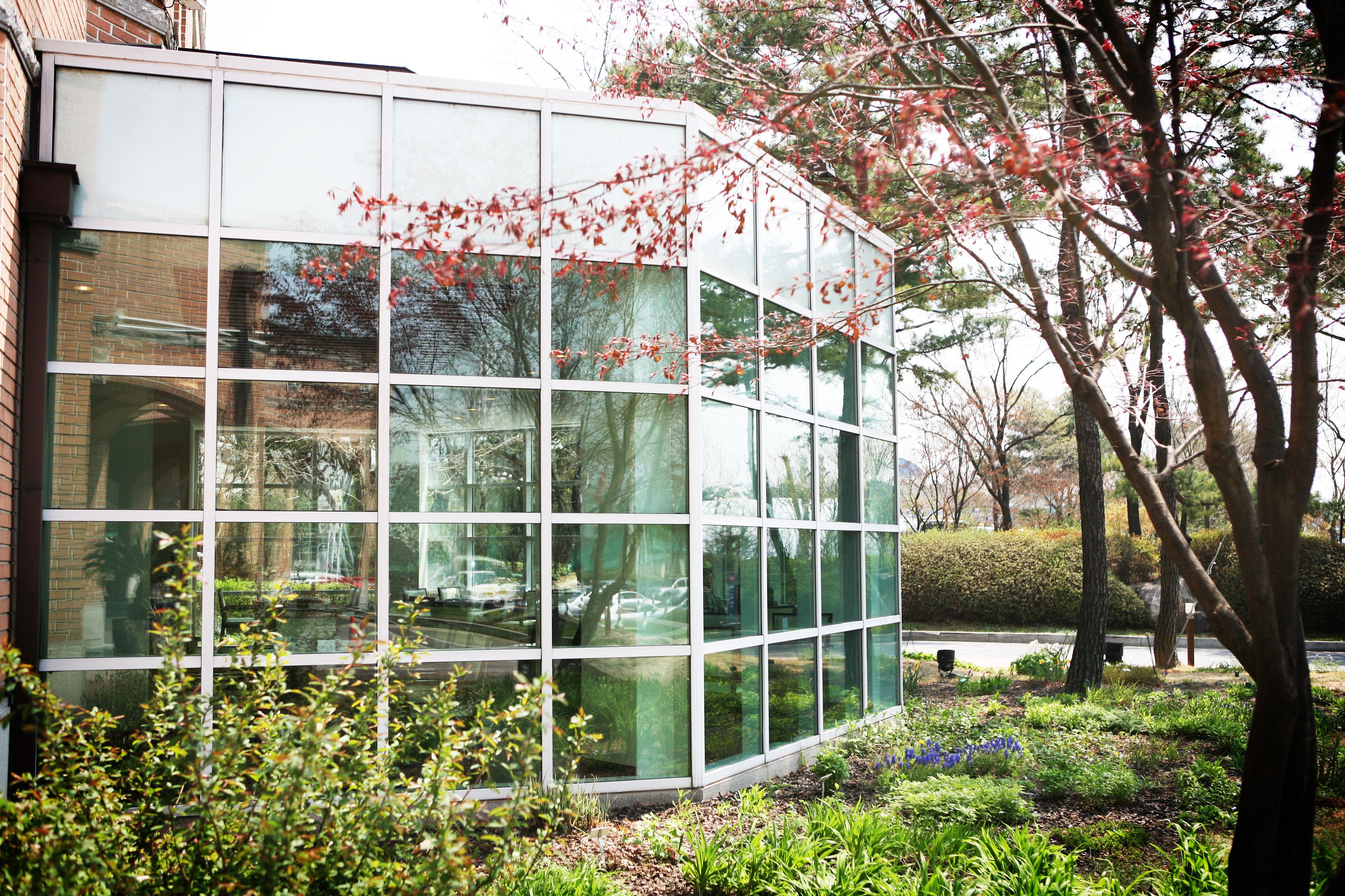 A modern building with large glass windows reflecting the surrounding trees and sky.