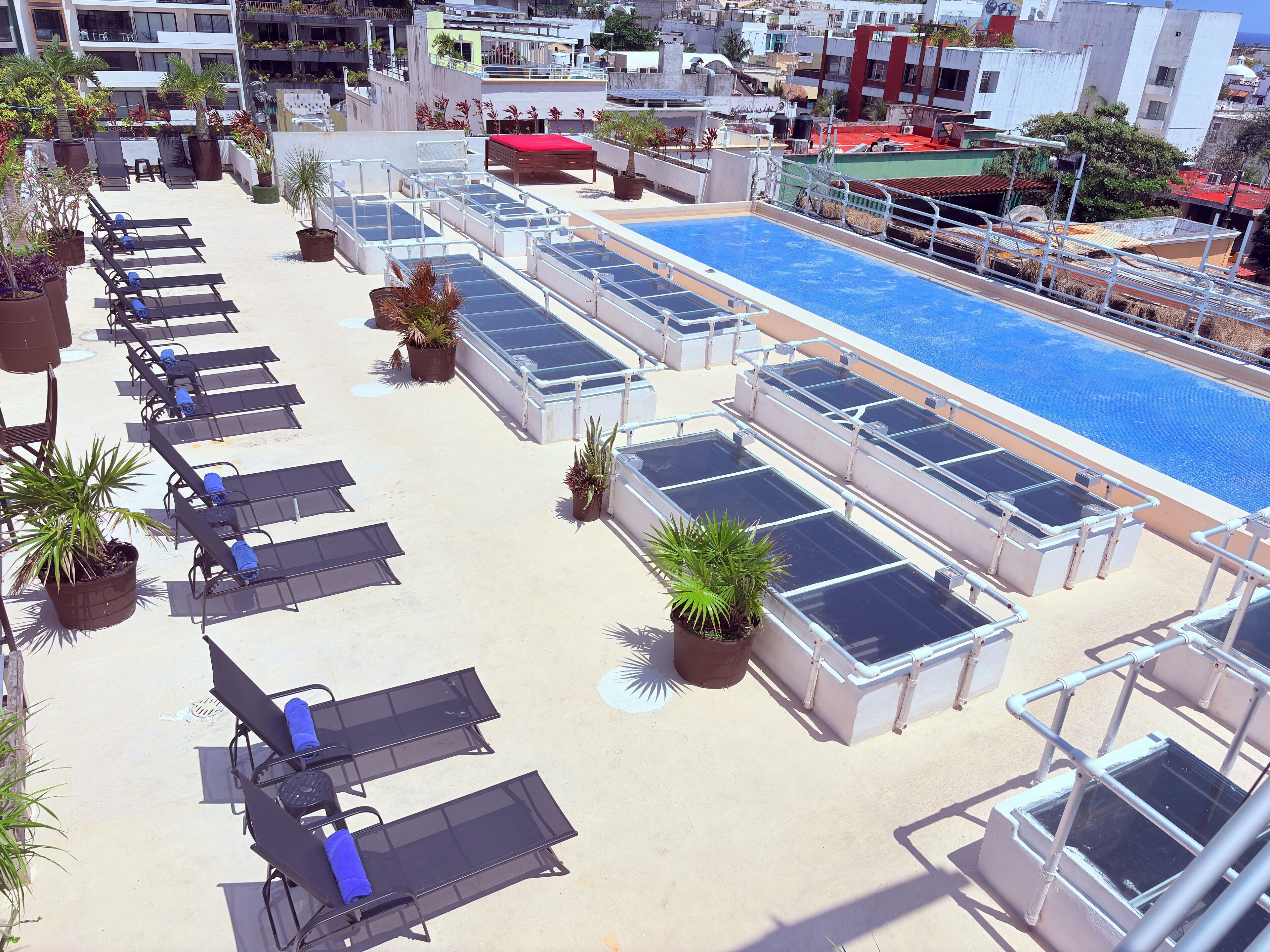 Foto - Hotel Kavia 5th Avenida