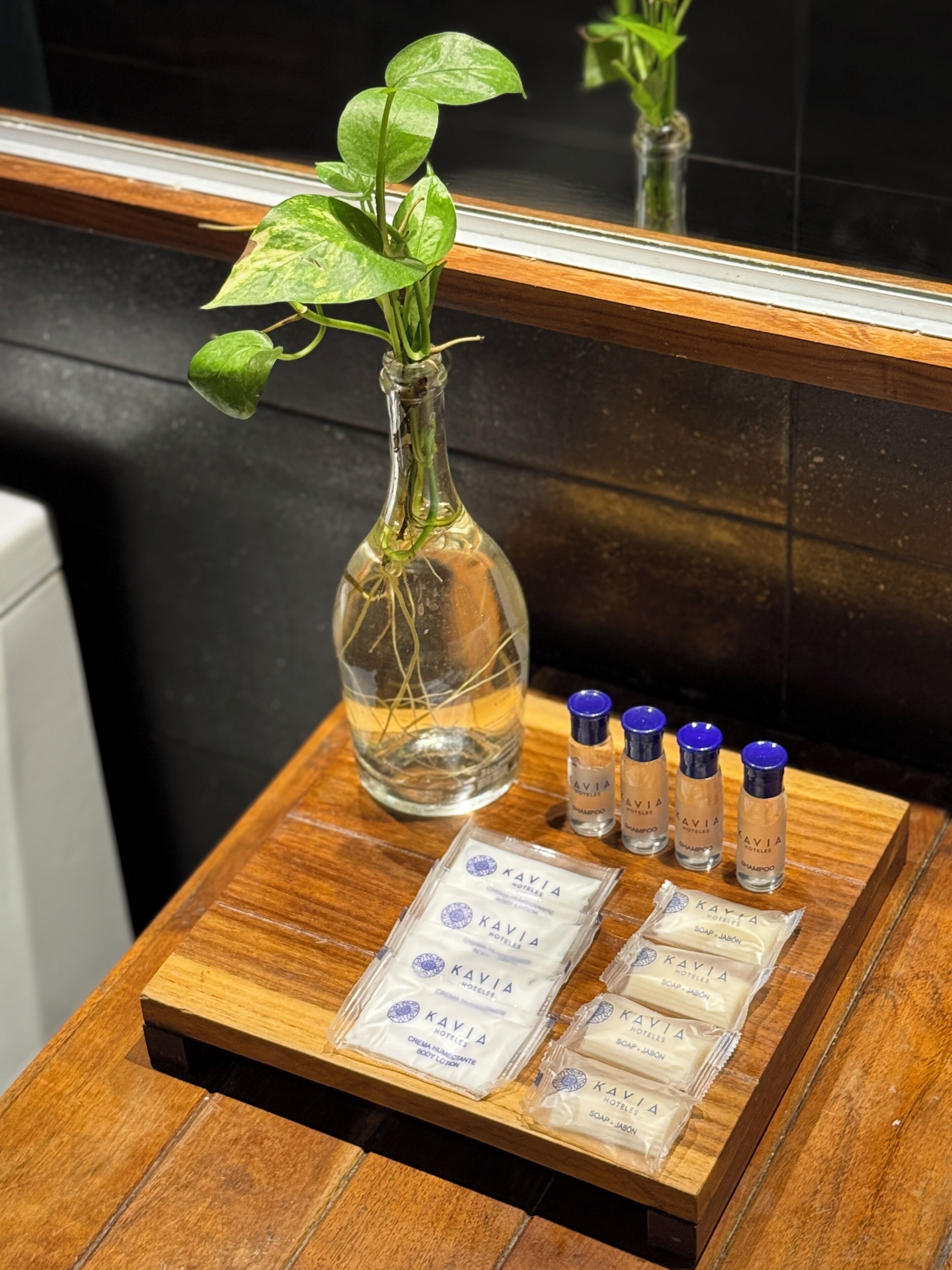 Foto - Hotel Kavia 5th Avenida