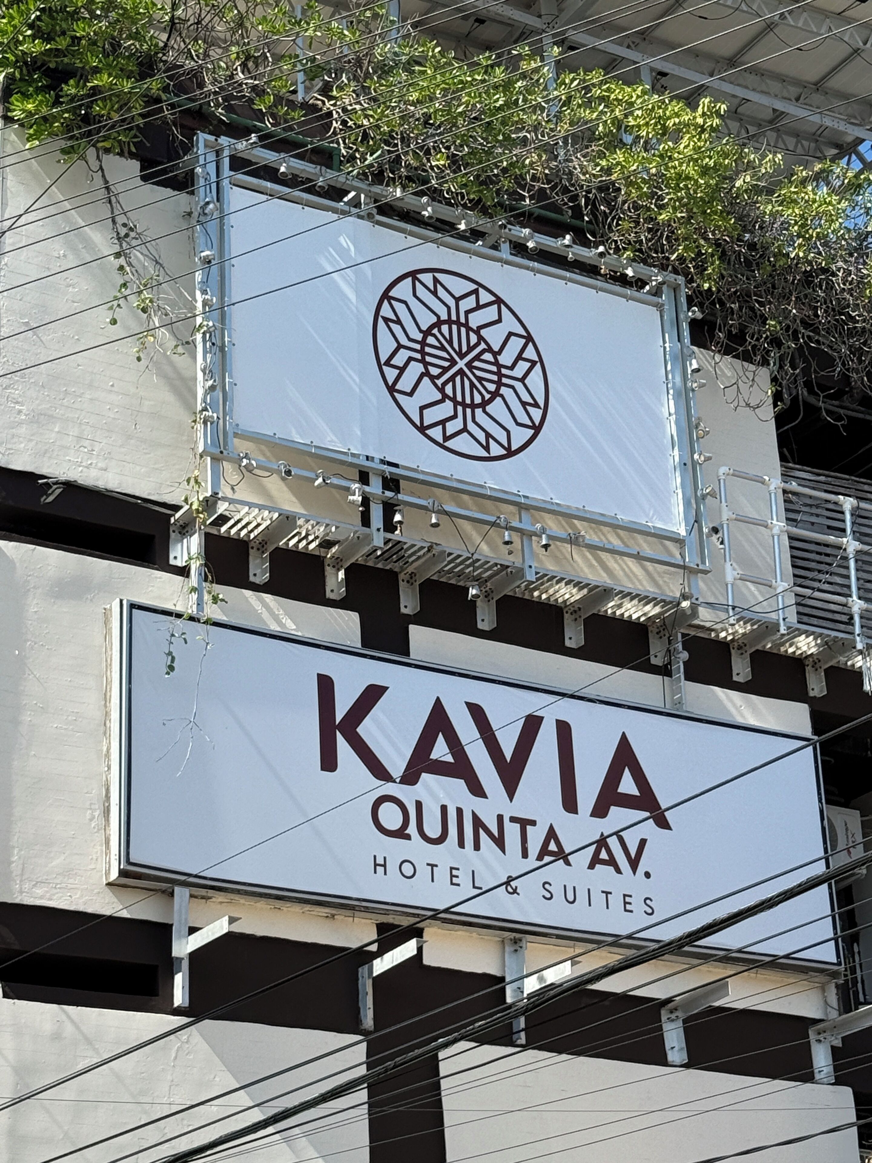 Foto - Hotel Kavia 5th Avenida
