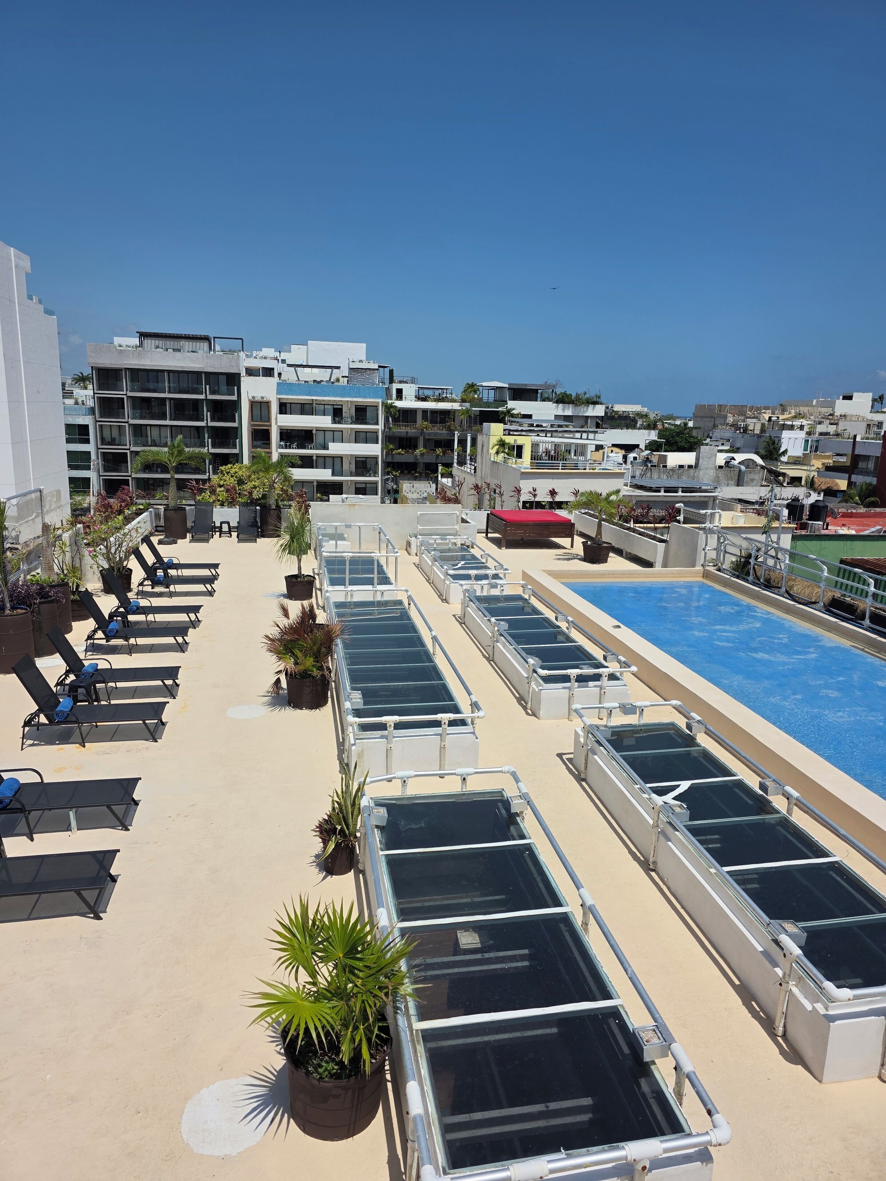 Foto - Hotel Kavia 5th Avenida