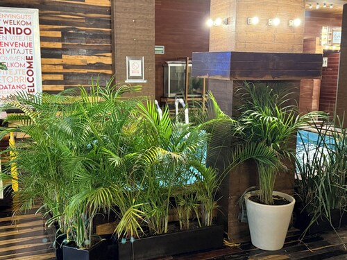 Hotel Kavia 5th Avenida