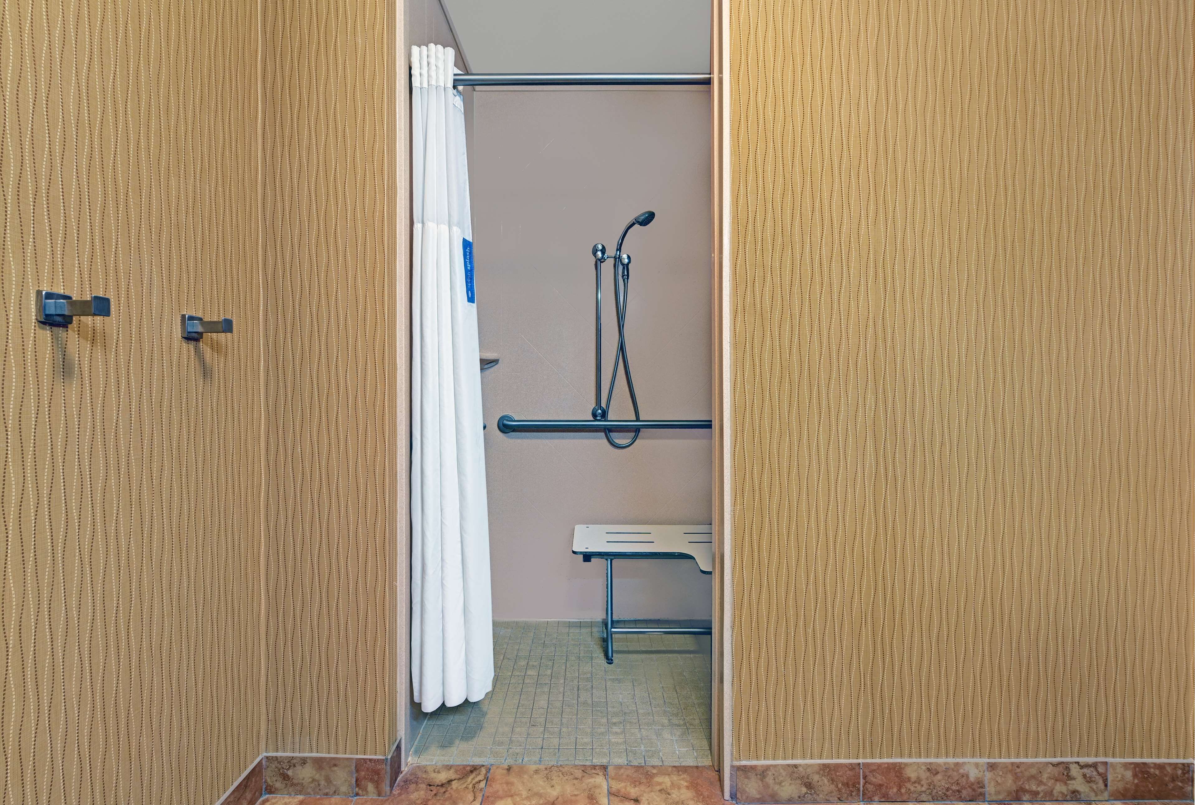 room, 1 king bed, accessible, non smoking | bathroom shower