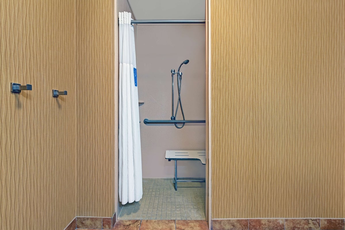 room, 1 king bed, accessible, non smoking | bathroom shower