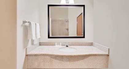 Sonesta Essential Hotels Odessa
