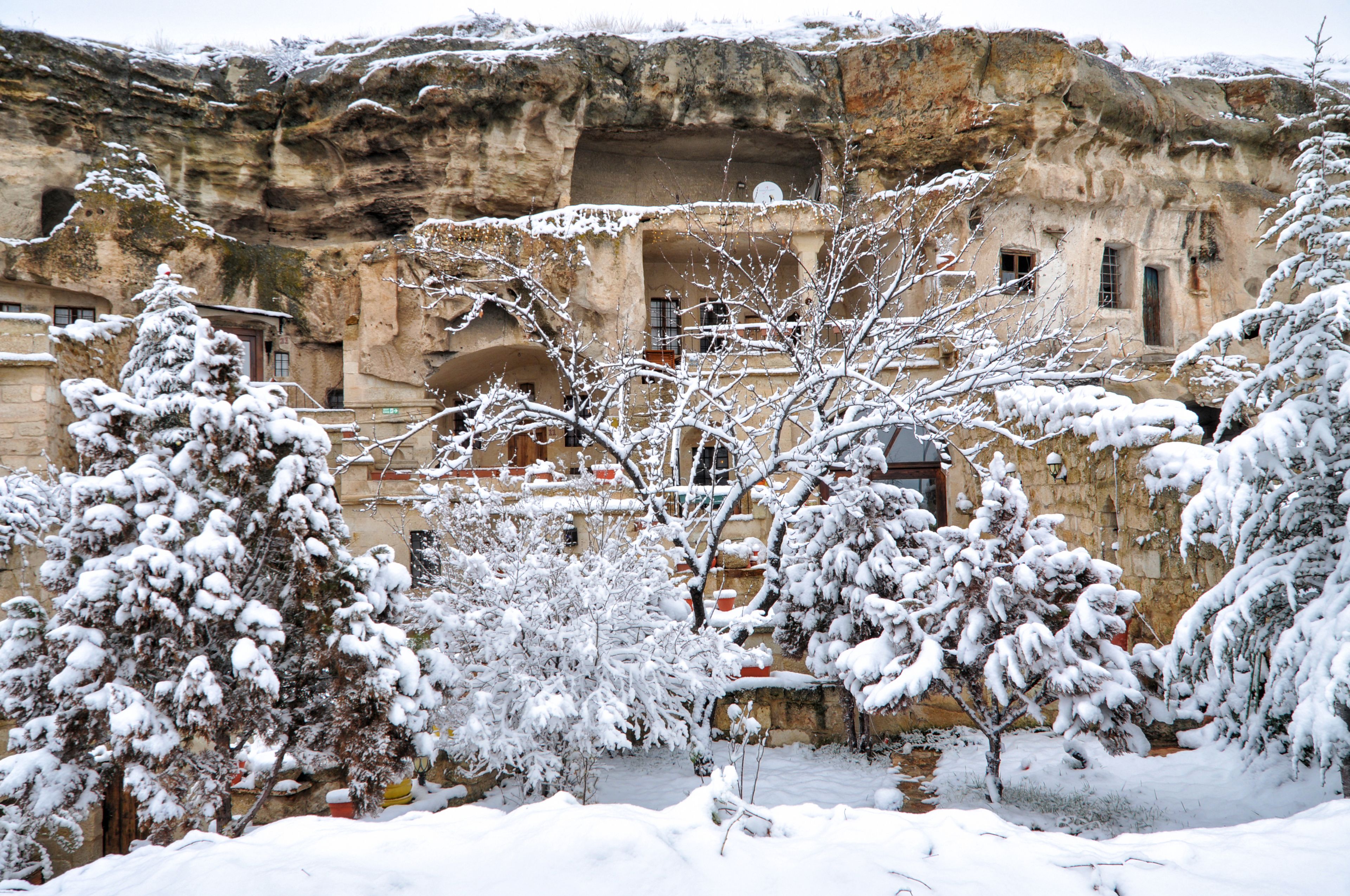 Un edificio histórico con arcos en puertas y ventanas, rodeado de árboles cubiertos de nieve.
