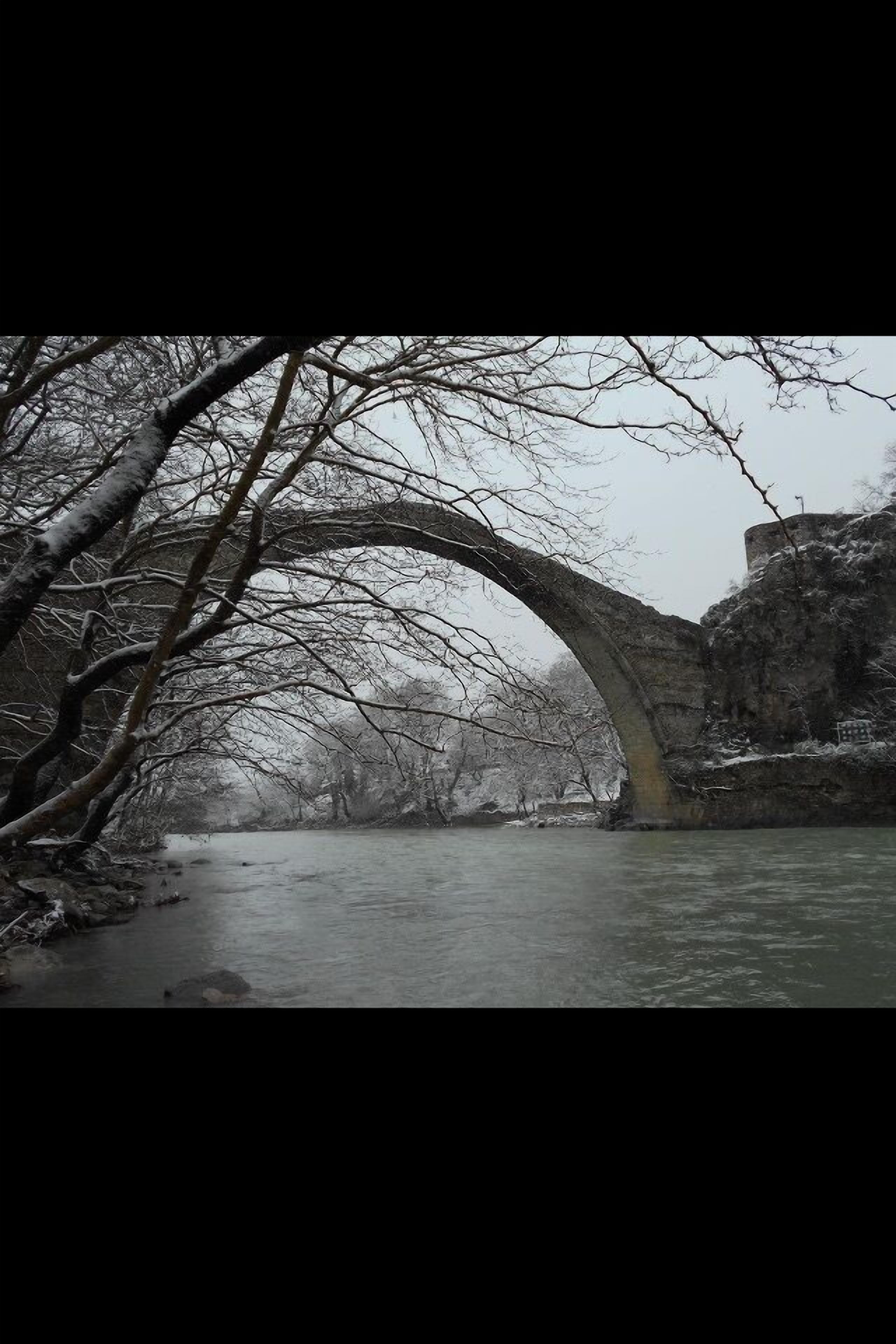 A stone bridge over a river, surrounded by bare trees and a rocky cliff.