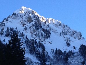 A snow-covered mountain with dense forests at its base.