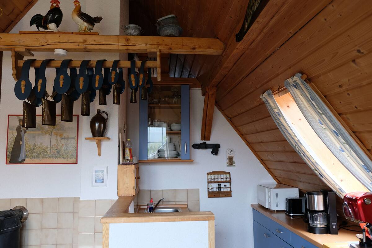 family apartment, 2 bedrooms, mountain view | private kitchen