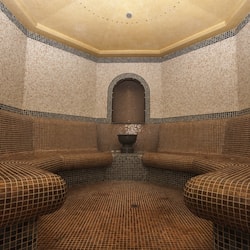 Sauna, bagno turco, trattamenti per il corpo, aromaterapia