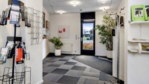 Zona de recepción con mostrador de entrada, una planta en maceta, un radiador y una puerta que da al exterior.