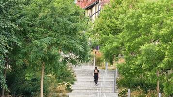 Una persona scende una scala di pietra immersa nel verde.