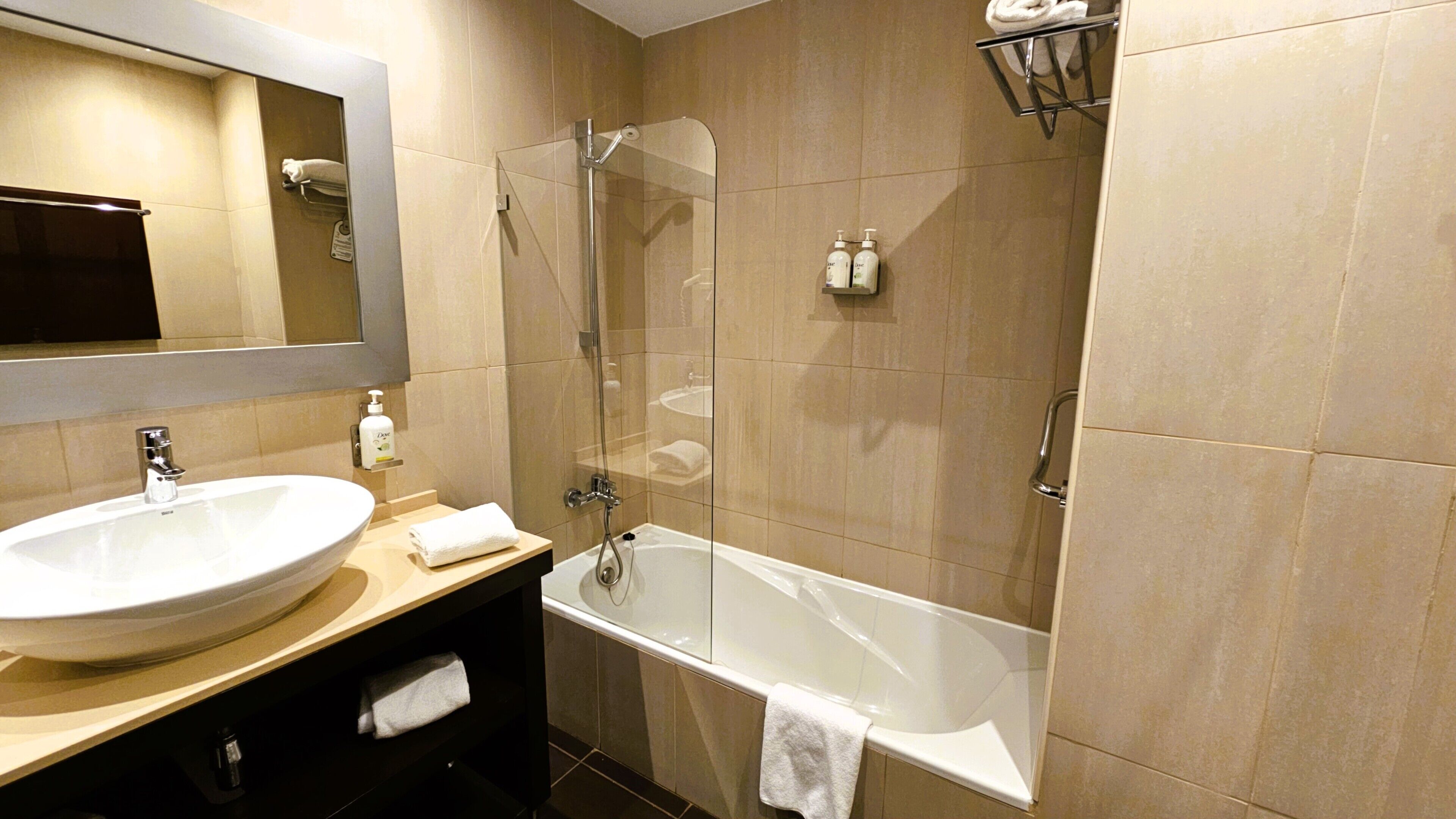 combined shower/bathtub, free toiletries, hair dryer, bidet