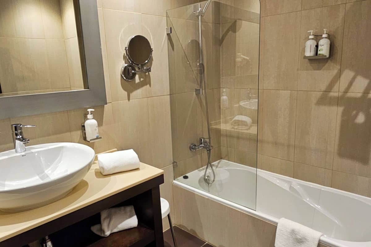 single room | bathroom | combined shower/bathtub, free toiletries, hair dryer, bidet