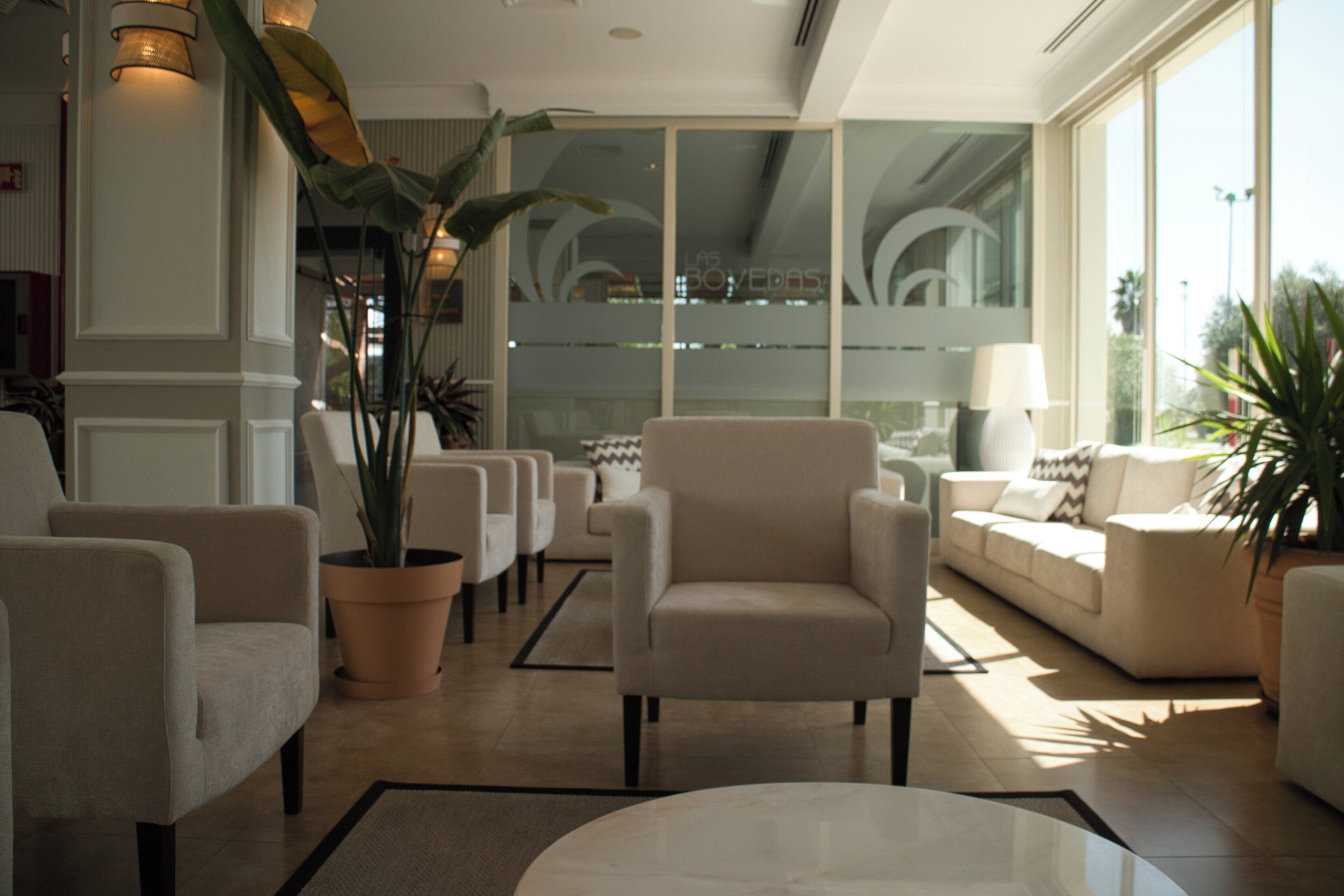 A modern hotel lobby with a seating area, a large potted plant, and a view through a glass wall.