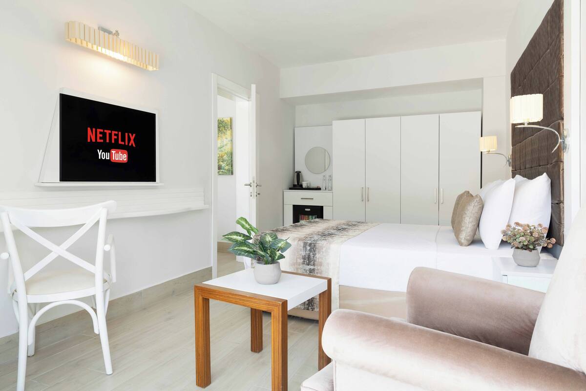 Una habitación de hotel moderna con una cama, un televisor mostrando los logotipos de Netflix y YouTube, una silla blanca, una mesita con una planta y un cabecero de madera.