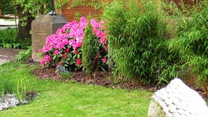 A garden with a stone headstone, flowering shrubs, and bamboo plants. - Apartment Barbara (Marianske Lazne)