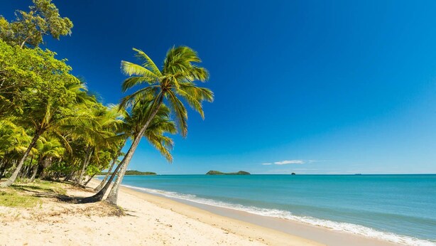 Una playa con palmeras y agua azul cristalina.