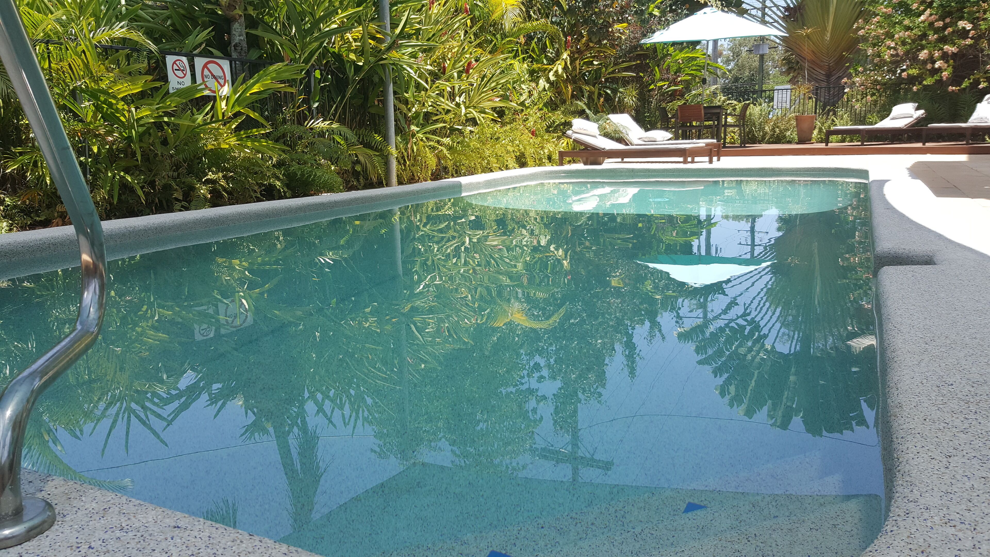 A swimming pool with lounge chairs and umbrellas, surrounded by lush greenery.