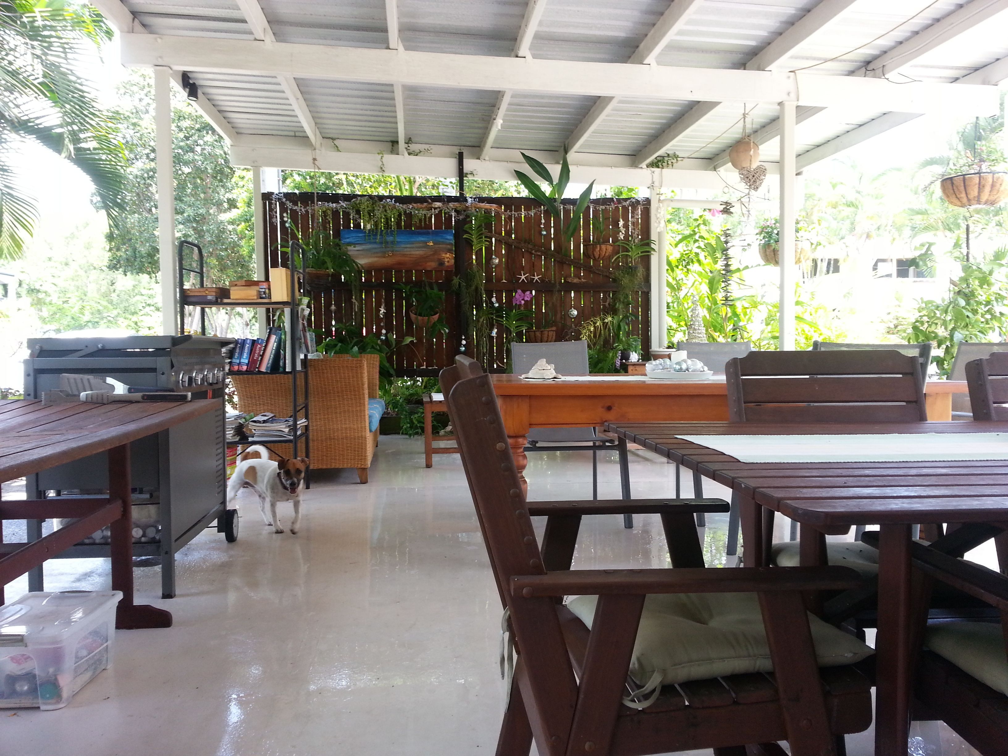A covered outdoor seating area with tables and chairs, a dog, and various plants and decorations.
