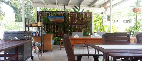A covered outdoor seating area with tables and chairs, a dog, and various plants and decorations.