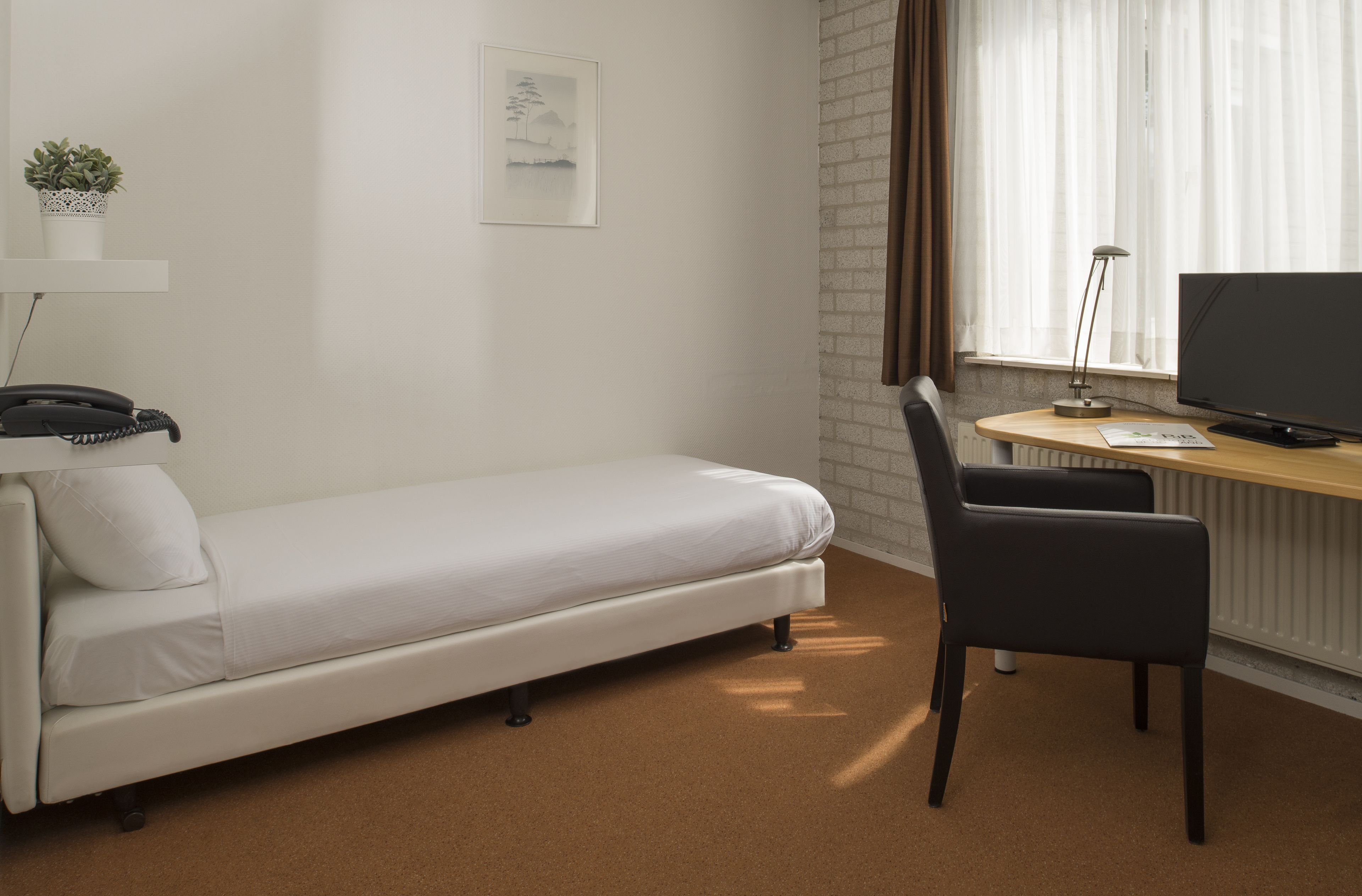 single room | 1 bedroom, pillow-top beds, individually furnished, desk