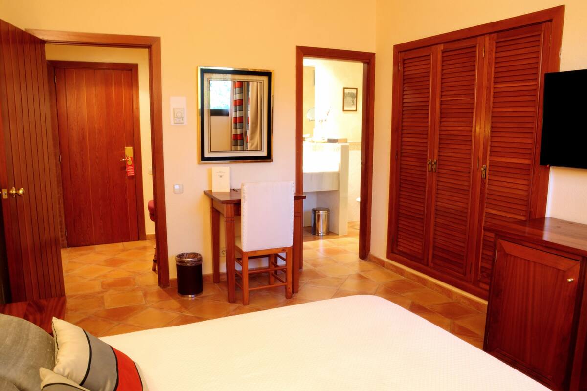 Une chambre d’hôtel équipée d’un lit, d’un bureau, d’une chaise, d’un miroir, d’une armoire et d’un téléviseur.