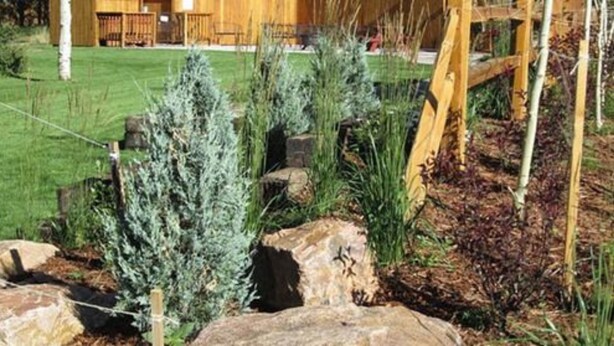 A landscaped garden with various plants and rocks, a wooden fence, and a building in the background. - Eagle Fire Lodge & Cabins (Woodland Park)