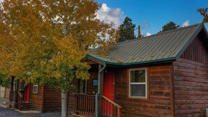 A rustic wooden cabin with a red door, a porch, and a metal roof. - Eagle Fire Lodge & Cabins (Woodland Park)