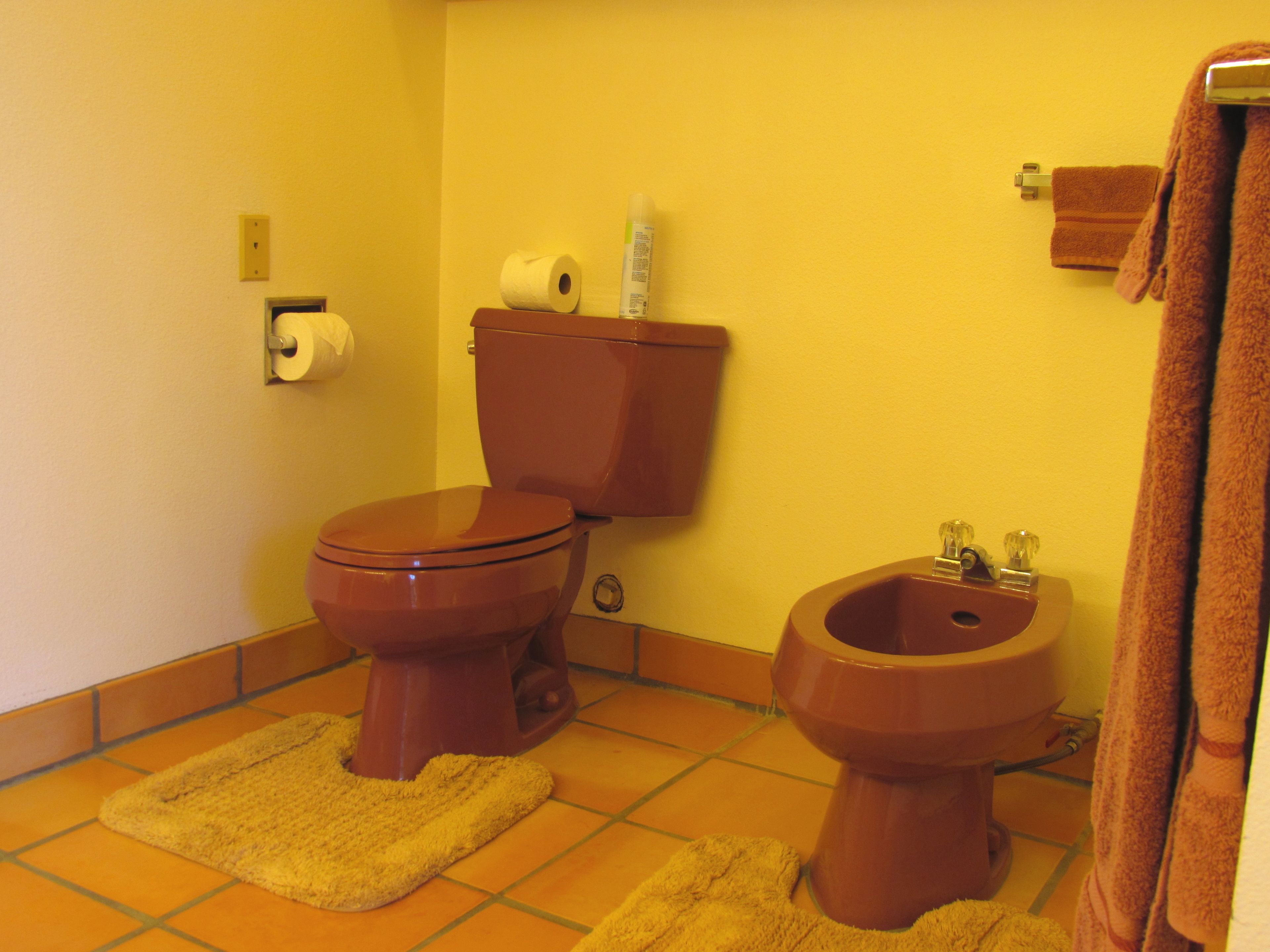 A bathroom with a toilet, bidet, and a towel rack.