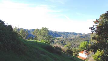 A rural landscape with rolling hills, a small white house with a red roof, and dense greenery.