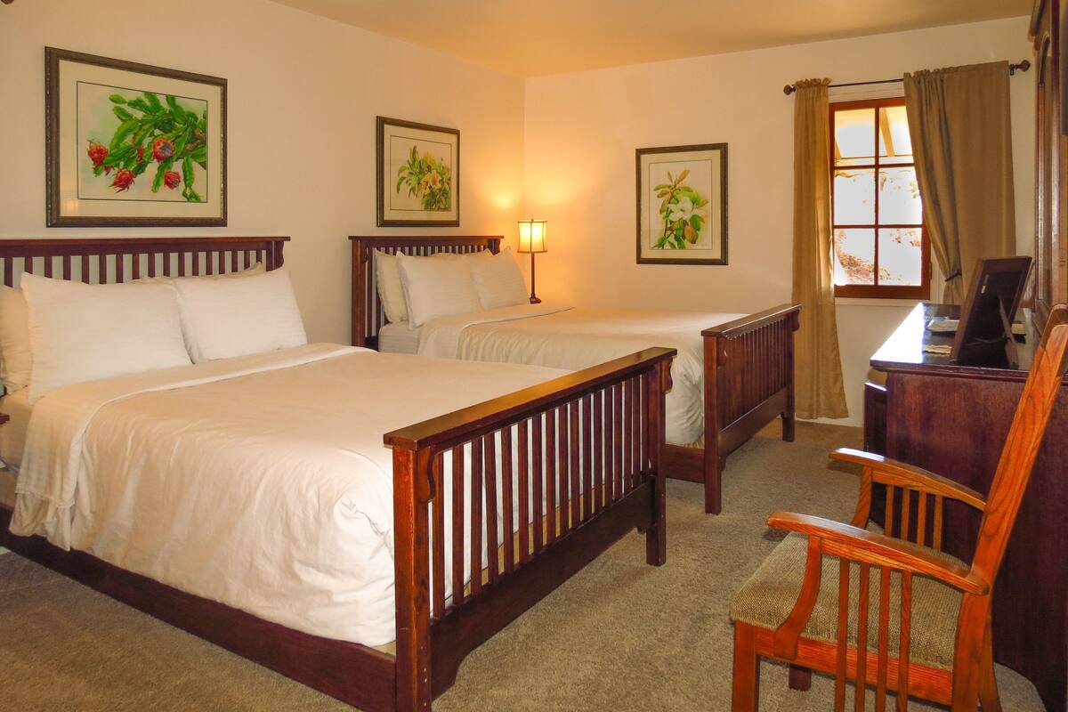 Egyptian cotton sheets, premium bedding, iron/ironing board (on request)