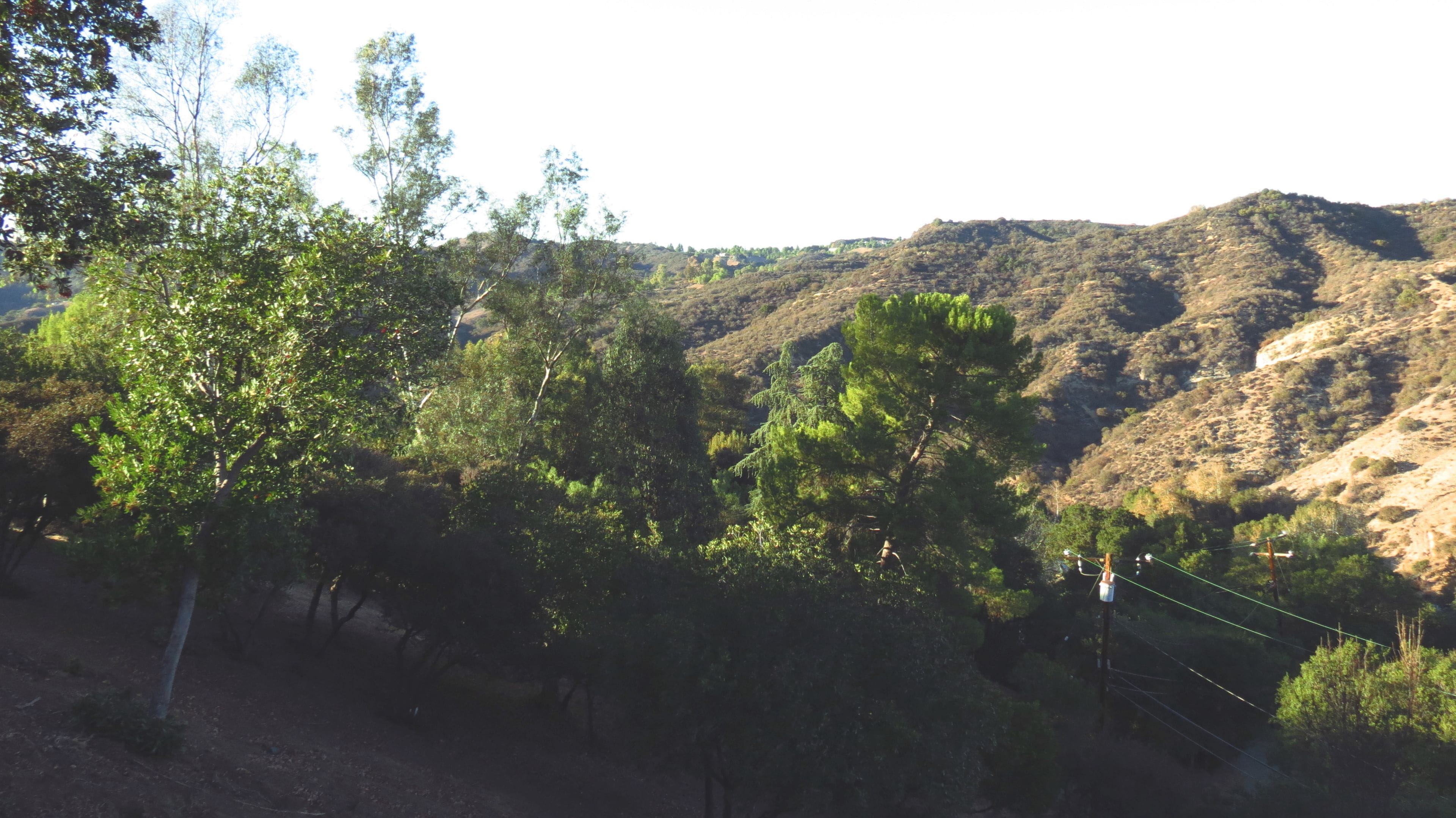A mountainous landscape with dense green trees and a clear sky.