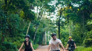 Tres personas montando en bicicleta por un camino pavimentado rodeado de follaje.