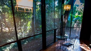 Una habitación con ventanas amplias, suelo de madera, una mesa de vidrio y un banco.
