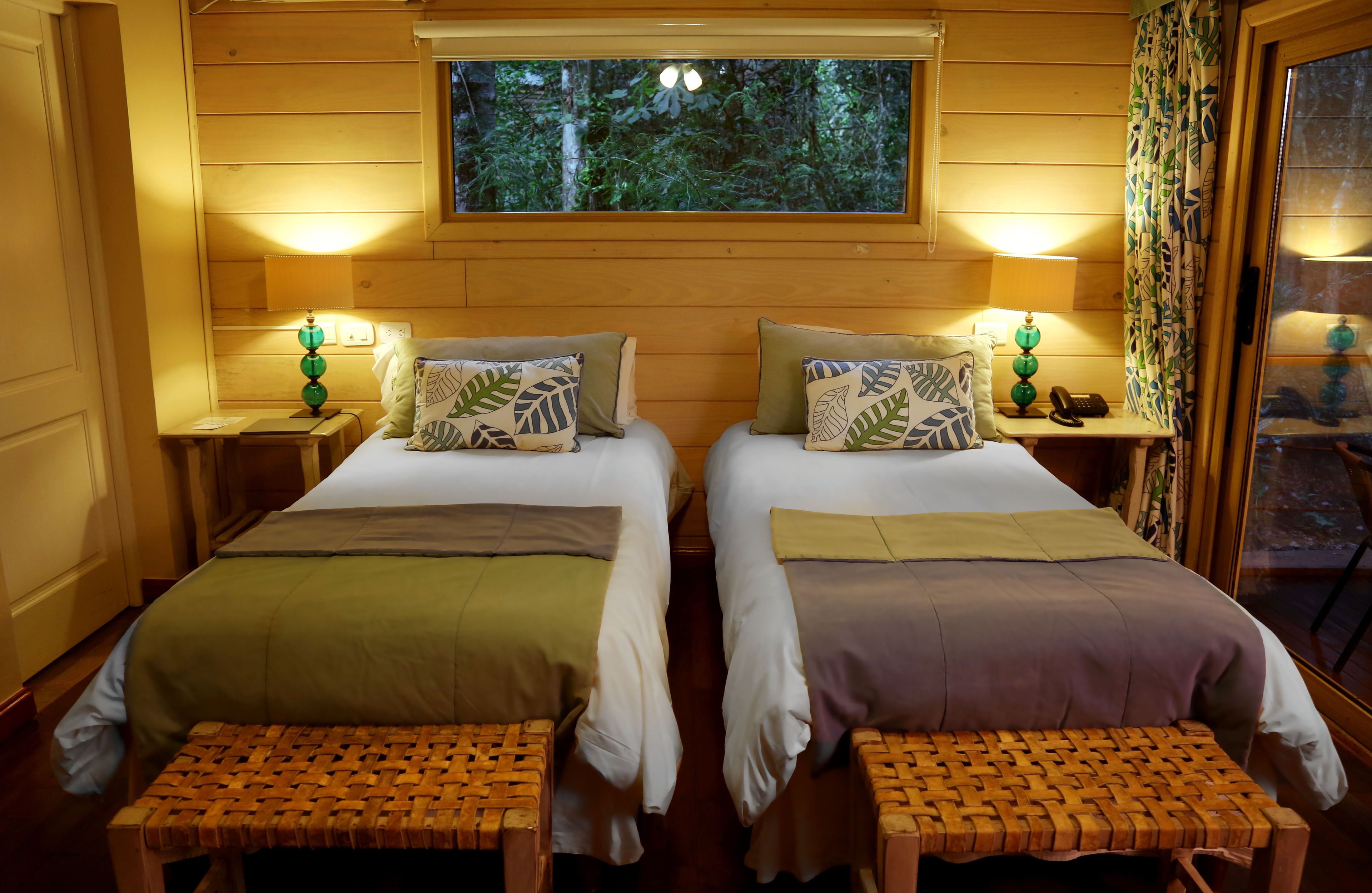 A room with two beds, each with a bedside table, a lamp, and a view of the forest through a window.