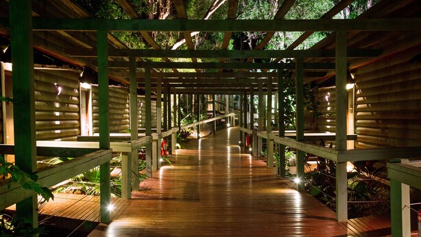 Un sendero de madera con una estructura cubierta, rodeado de follaje.