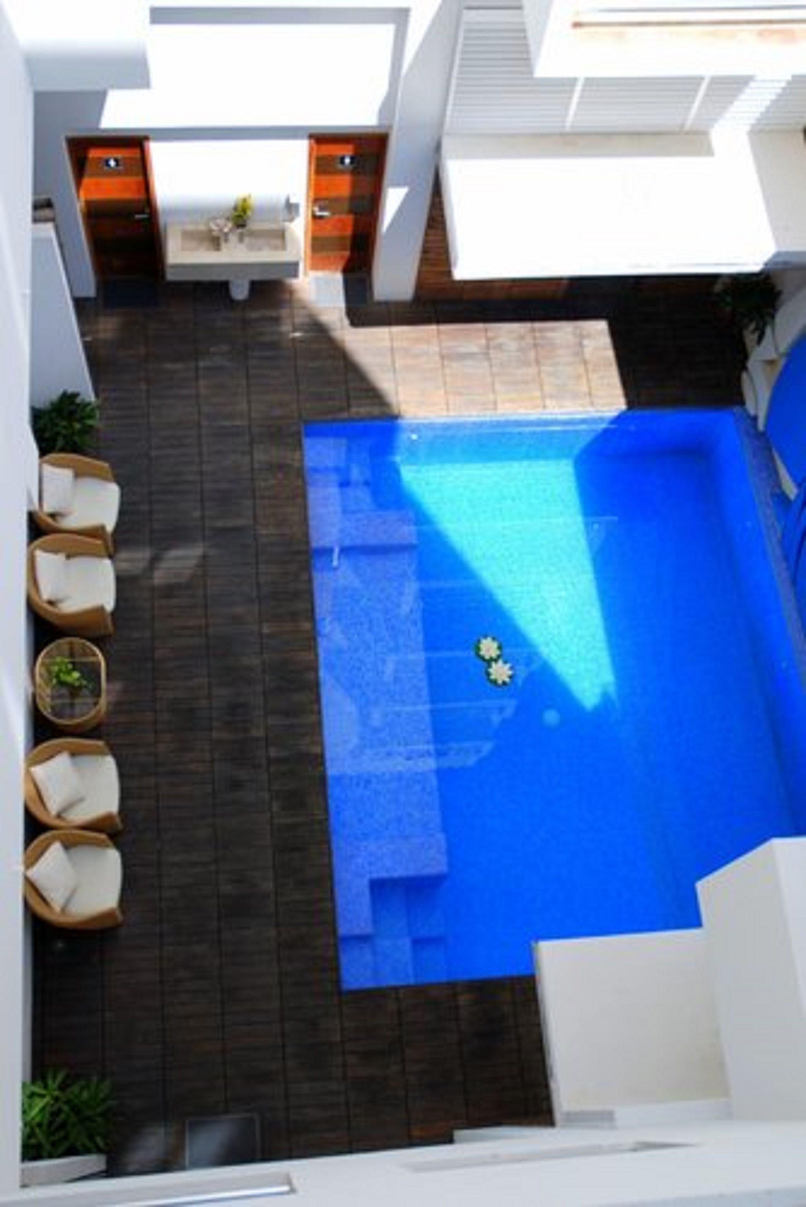 Outdoor pool, sun loungers