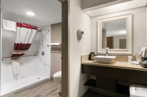 Deluxe Room, 1 Queen Bed, Accessible, Non Smoking | Bathroom | Combined shower/tub, free toiletries, hair dryer, towels