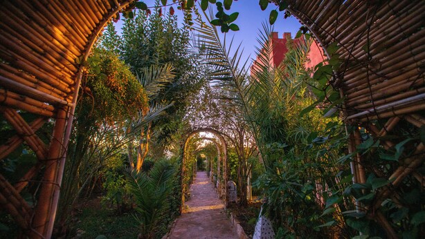 Un sendero con arco de bambú rodeado de exuberante vegetación y escalones de piedra.