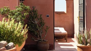 A rooftop terrace with potted plants, a bed, and a view of the sky.