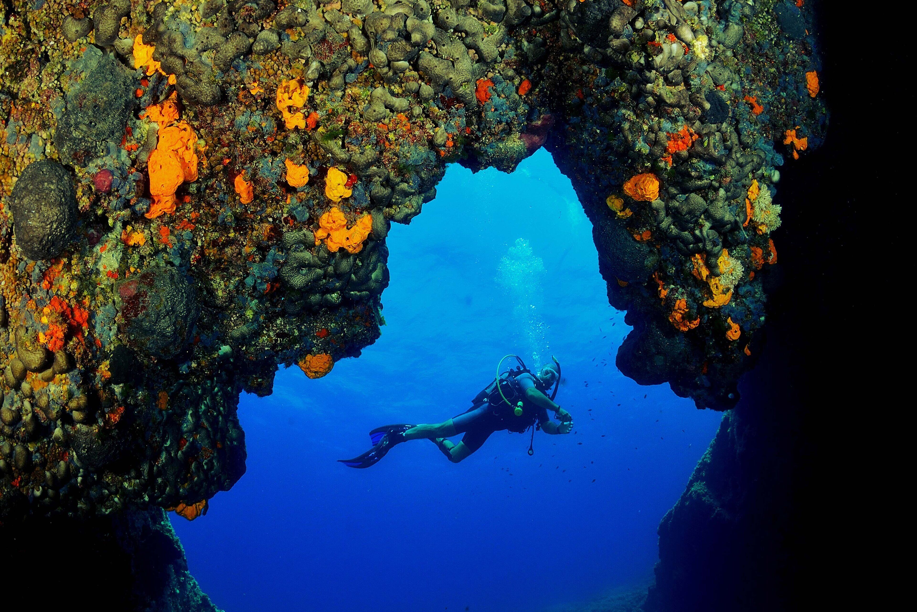 A diver exploring a rocky underwater cave with vibrant coral formations.