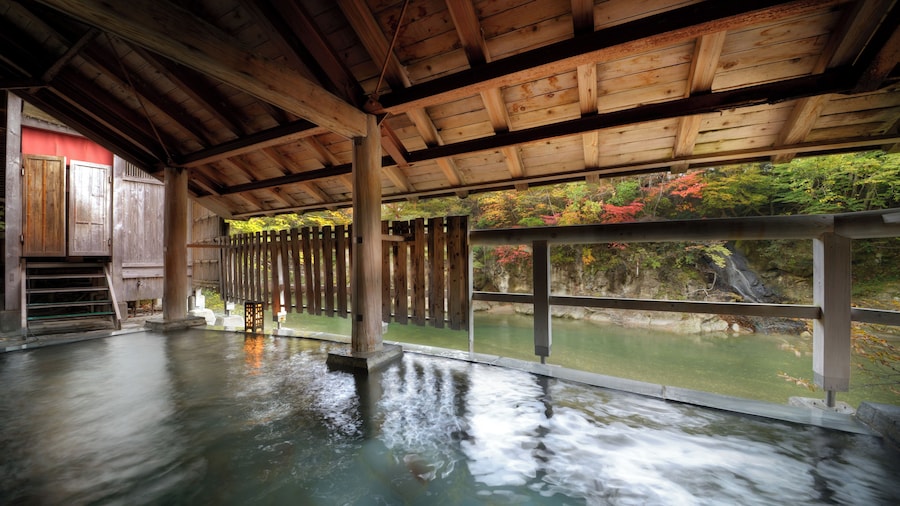 1000 Years of Tradition - Akiu Onsen Sakan