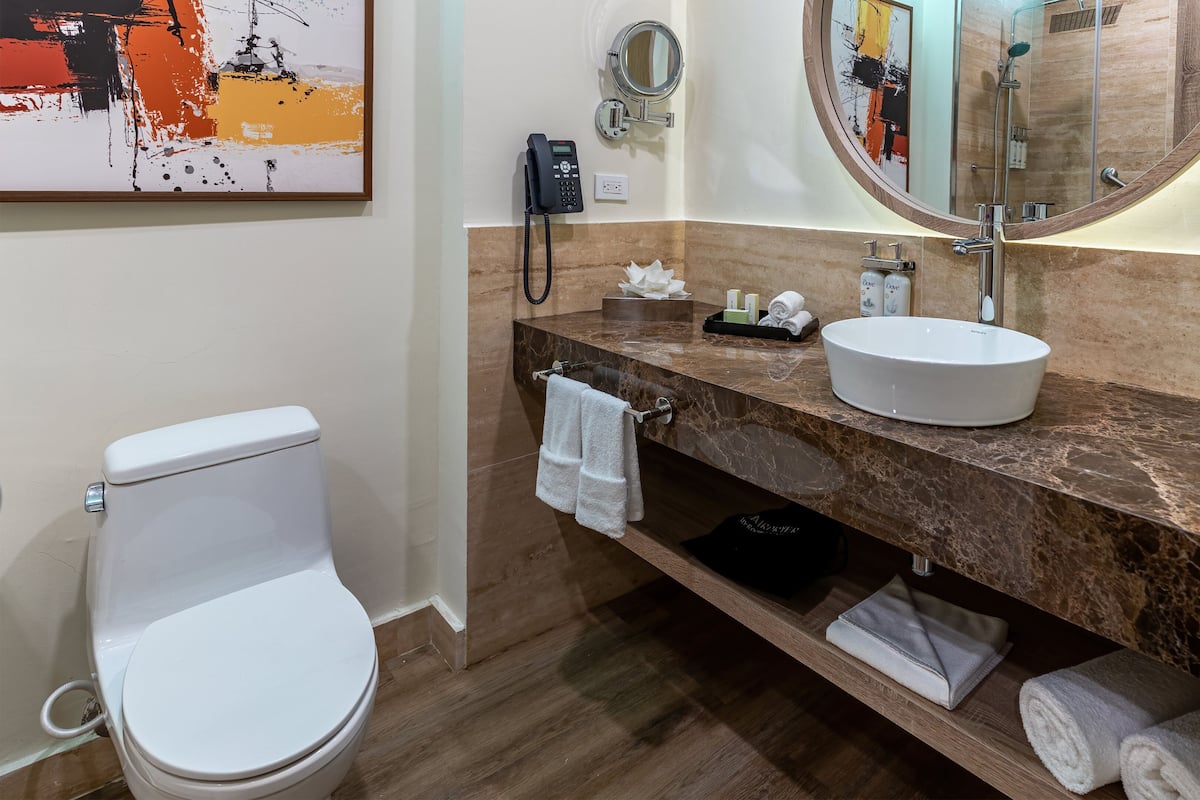Shower, hair dryer, towels