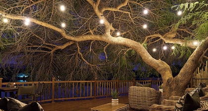 Buffelsdrift Game Lodge