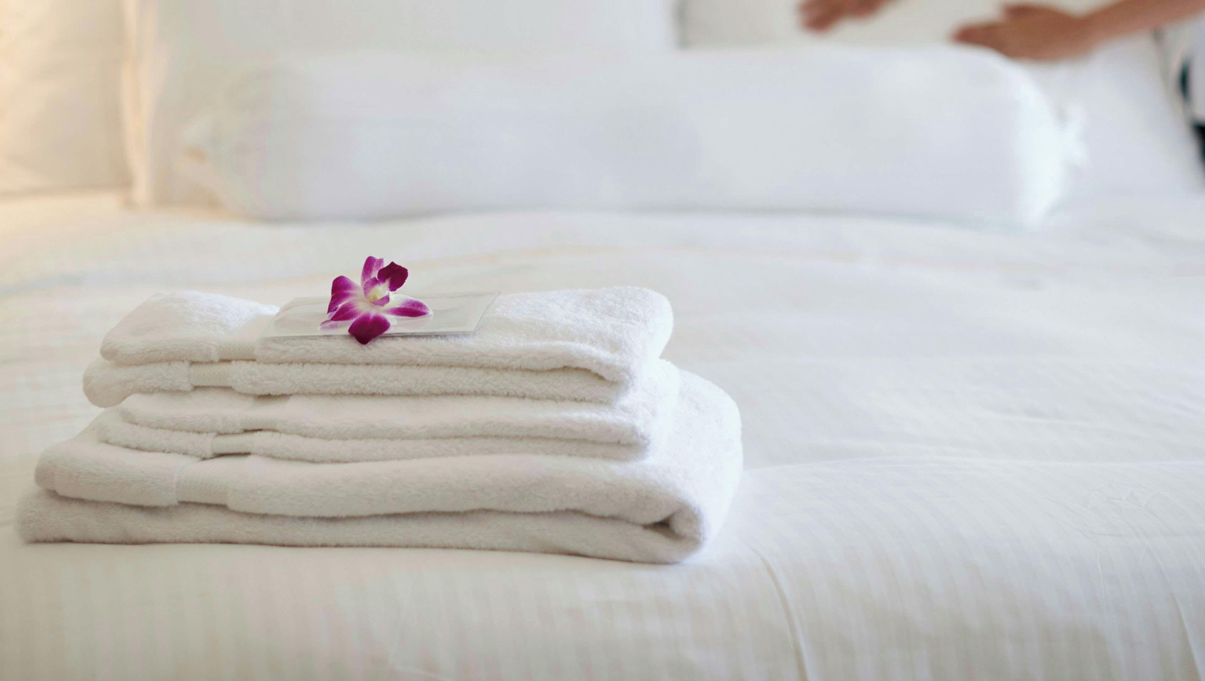 Iron/ironing board (on request), WiFi (free), bed sheets