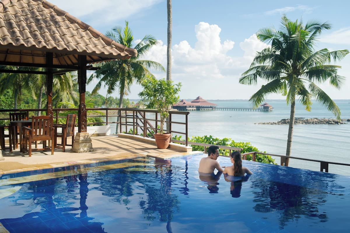 An infinity pool with a view of the sea and palm trees.