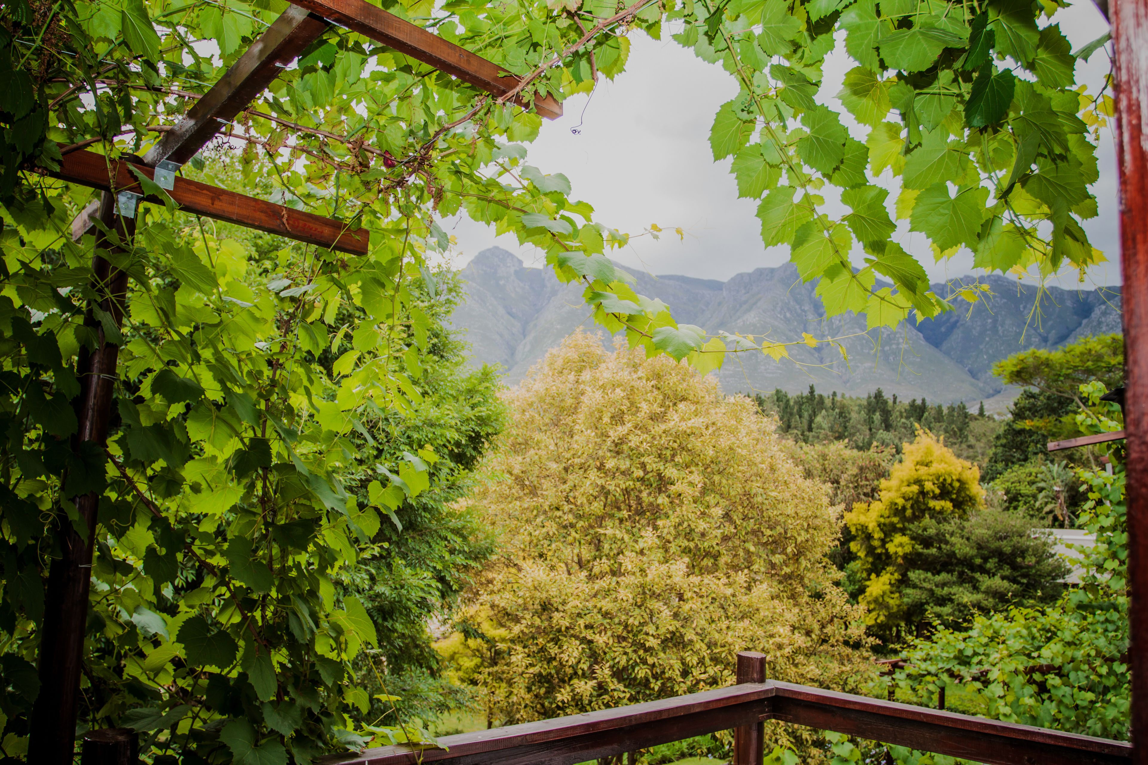 Barn Owl Luxury Loft Room - Stairs  | Näkymä huoneesta